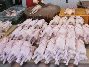 Ъ: Украинские птицефабрики могут начать экспорт продукции в ЕС