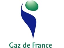 Франция разрешила приватизацию газового гиганта