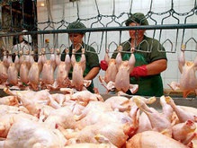 АМКУ приостановил рост цен на куриное мясо