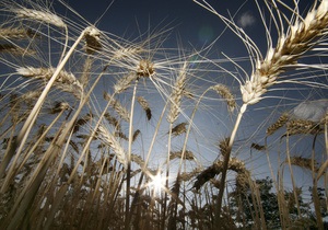 Крупнейший импортер украинских зерновых испытывает трудности с оплатой пшеницы