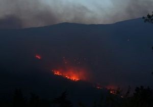 Лесной пожар близ Ялты тушат почти 500 человек