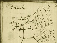 В Сети появились рукописи Дарвина