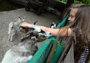 Завтра Киевский зоопарк открывает летний сезон
