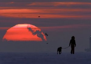 Ученые: К 2100 году в Арктике может не остаться льда