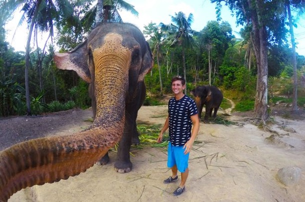  В Таиланде слон сделал селфи с туристом. ФОТО