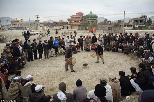 \"Хлеба и зрелищ\" - жизнь в Афганистане после падения талибана. ФОТО