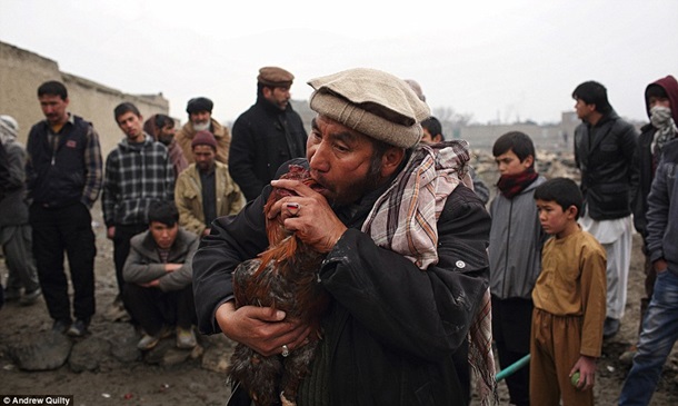 \"Хлеба и зрелищ\" - жизнь в Афганистане после падения талибана. ФОТО