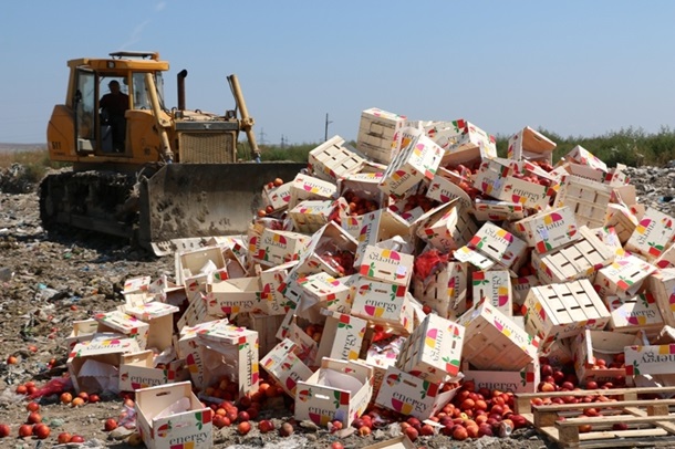 В Крыму уничтожили четыре тонны санкционного нектарина. Фото