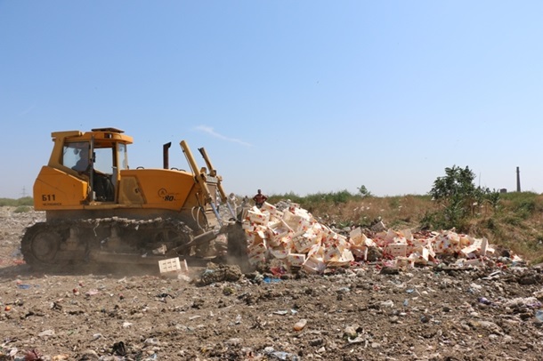 В Крыму уничтожили четыре тонны санкционного нектарина. Фото