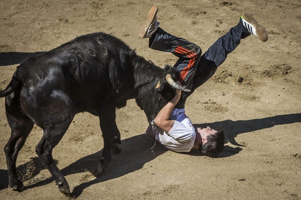 В Испании - десятый погибший в результате забега быков. Фото