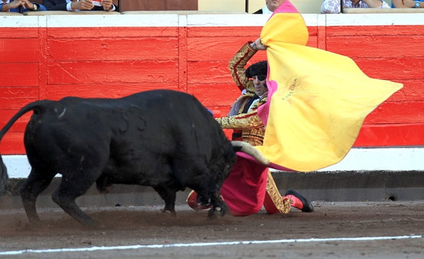 В Испании - десятый погибший в результате забега быков. Фото