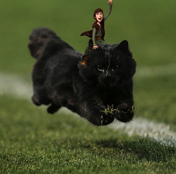 Кот на регбийном поле стал поводом для фотожаб