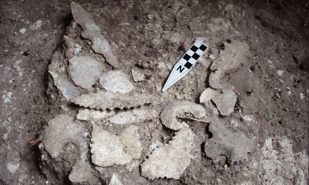 В Белизе нашли необычную гробницу майя