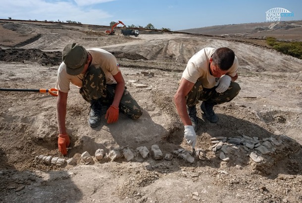 В Крыму нашли скелет древнего кита, которому 10 млн. лет 6