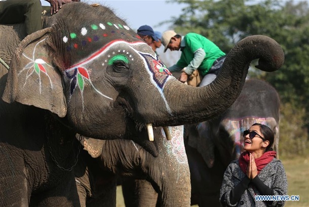 В Непале провели конкурс красоты среди слонов