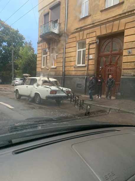 Во Львове сильный ветер повалил деревья