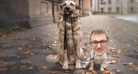 Украинцы высмеяли заявление нардепа о продаже собак для оплаты коммуналки. Фотожабы