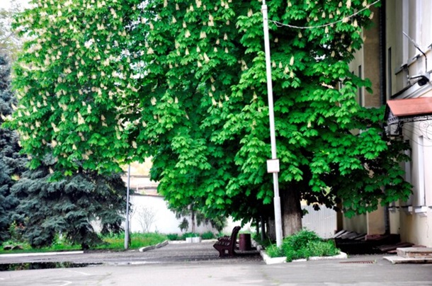 2500890.jpg