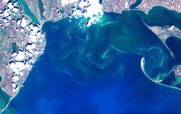 Появилось видео позеленевшего Черного моря