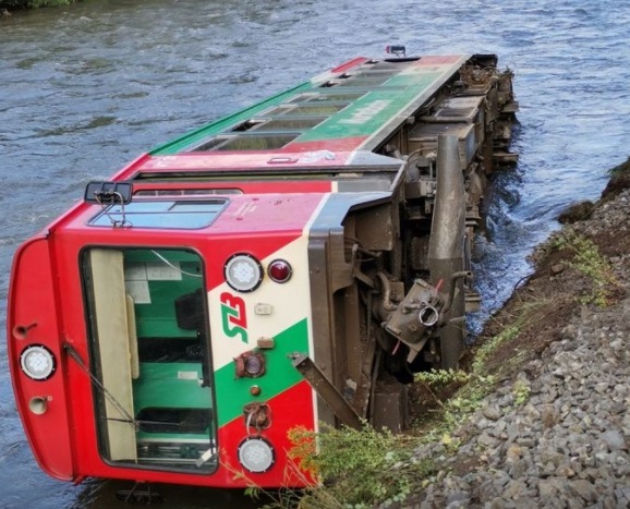 В Австрии вагон со школьниками упал в реку из-за дерева на рельсах (ФОТО, ВИДЕО) 5