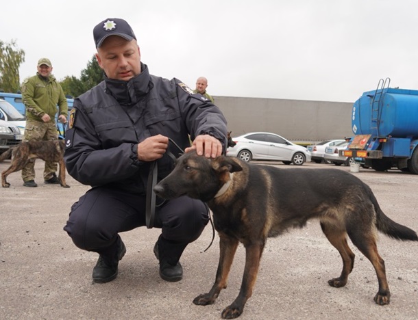 В Україну прибула четверта партія службових собак із Європи