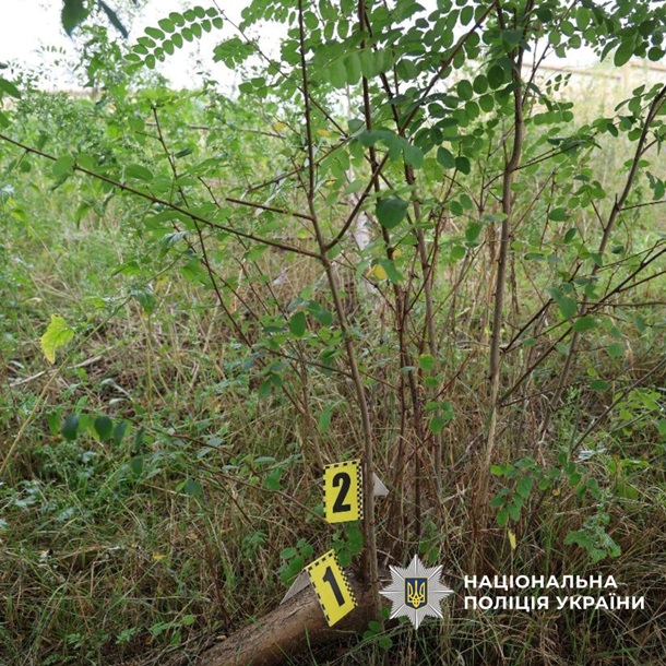 Под Харьковом мужчина изнасиловал 15-летнюю девушку на кладбище Под Харьковом мужчина изнасиловал 15-летнюю девушку на кладбище
