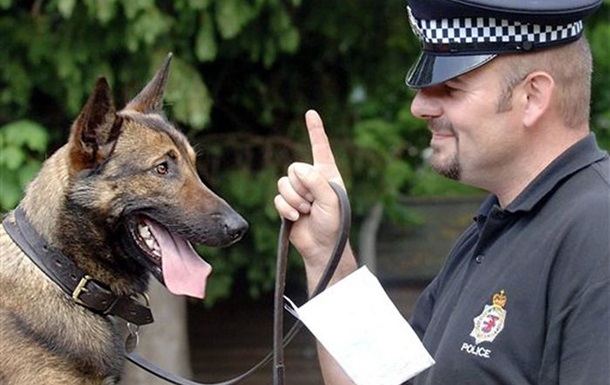 В англійському графстві поліцейським собакам призначать пенсію