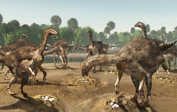 В пустыне Гоби обнаружили колонию теризинозавров