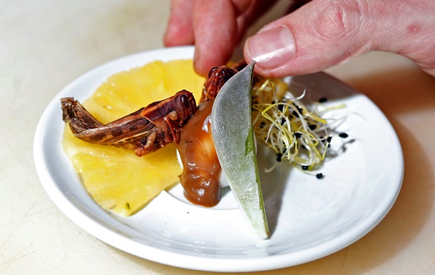 Кузнечики на перепелиных яйцах. В Париже появился первый ресторан, подающий блюда из насекомых