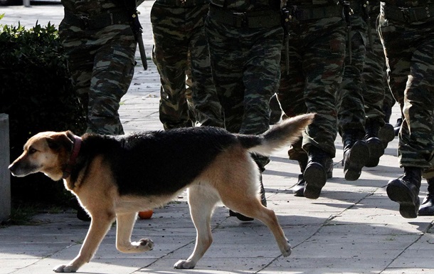 В Туркменистане солдаты погибли от отравленной колбасы для собак