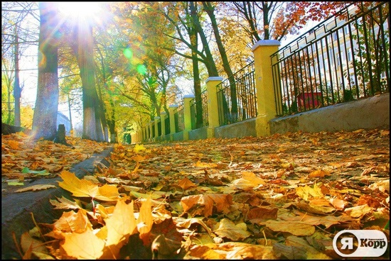 Осень в Днепропетровске. Фотозарисовка