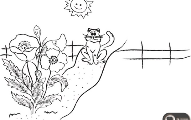 Ілюстрація до вірша Миколи Вінграновського  Мак і кіт