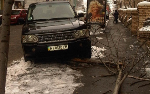 Range Rover сбил дерево. Водитель сбежала