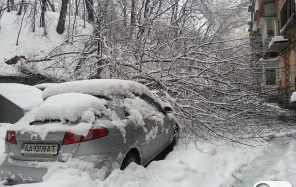Київські снігопади. Автомобілі під поваленими стихією деревами
