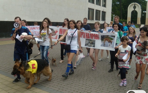 Fair Play у Івано-Франківську. Міжнародна акція на захист тварин