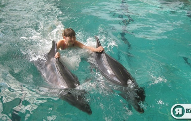 Захоплююча подорож з дельфінами