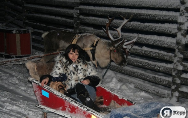 На северных оленях, запряженных в сани