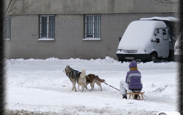 Зимняя прогулка