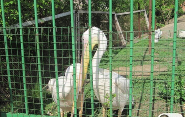 Весна в Харьковском зоопарке