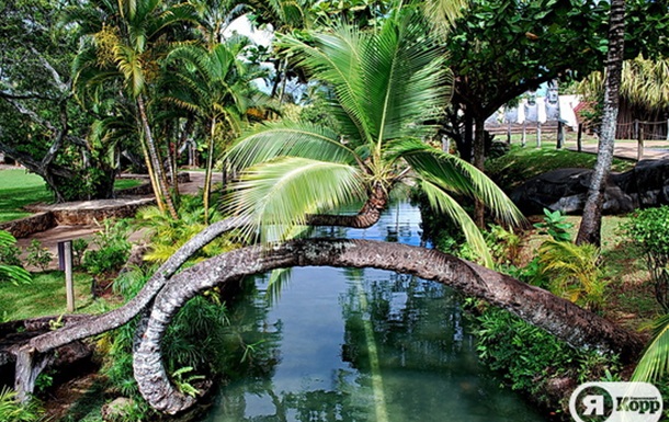 Полинезийский культурный центр, Гавайи