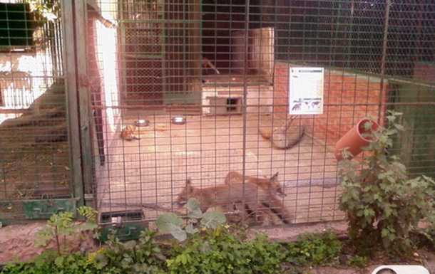 Как живут обитатели Одесского зоопарка