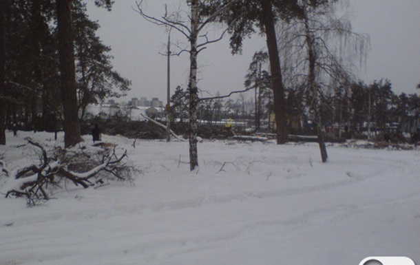 Убитый Черновецким парк возле метро Дарница