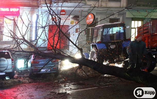 Дерево рухнуло на машину в центре Киева