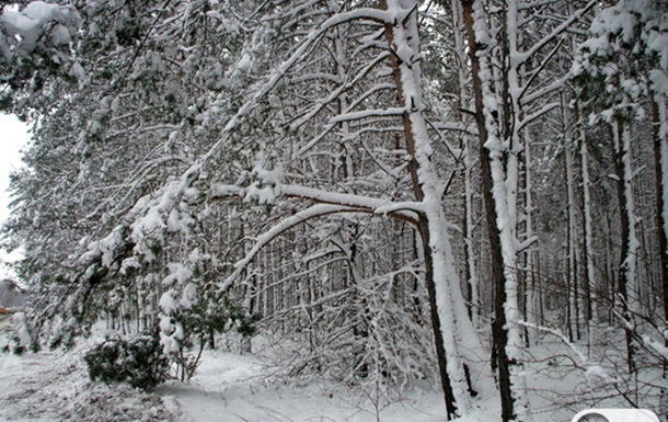 Снега зимы 2007
