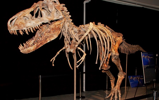В Аргентине нашли древнейший туалет динозавров