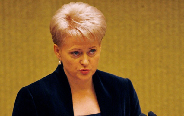 Тиск Росії не виправдовує дії української влади - президент Литви