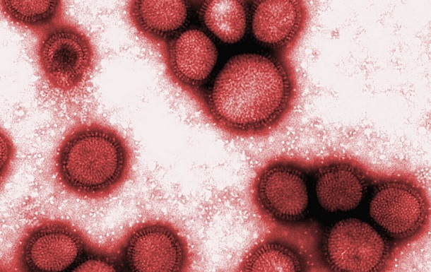 Спалах свинячого грипу в американському Техасі забрав п ять життів