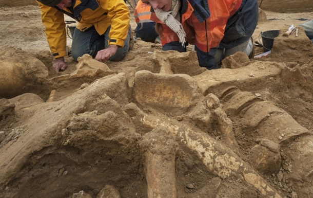 Японські вчені знайшли скелет гадрозавра