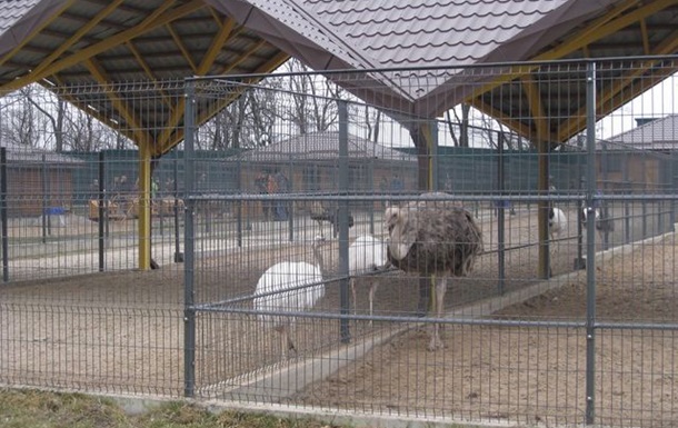 Киевский зоопарк позаботится о животных из Межигорья