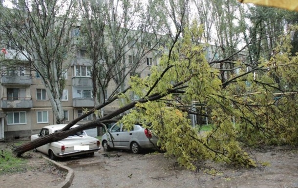 Непогода в Крыму: штормовой ветер валит деревья
